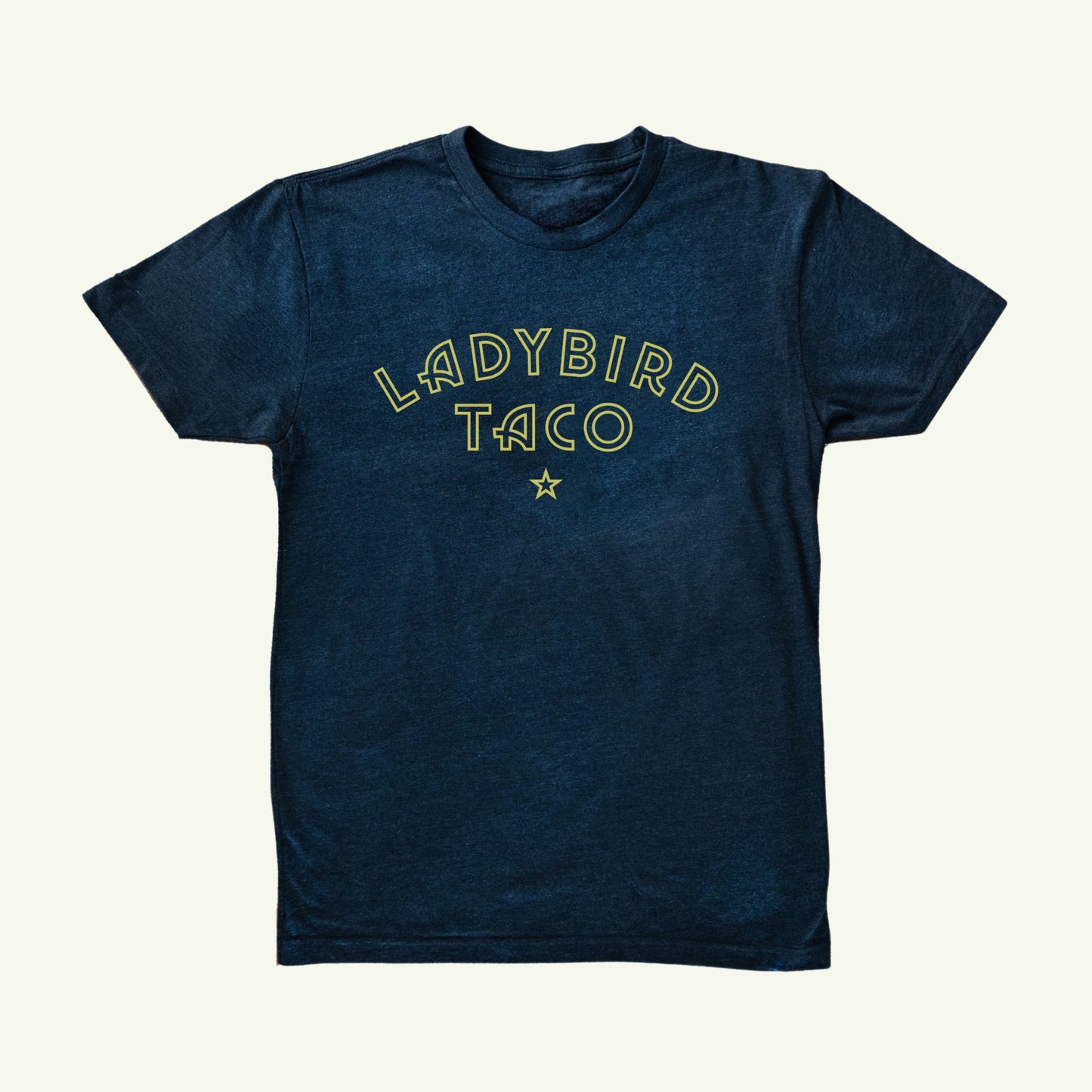 Ladybird Star Shirt - Kids